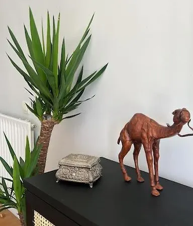 Bajo Con Impresionante Terraza Apartamento *